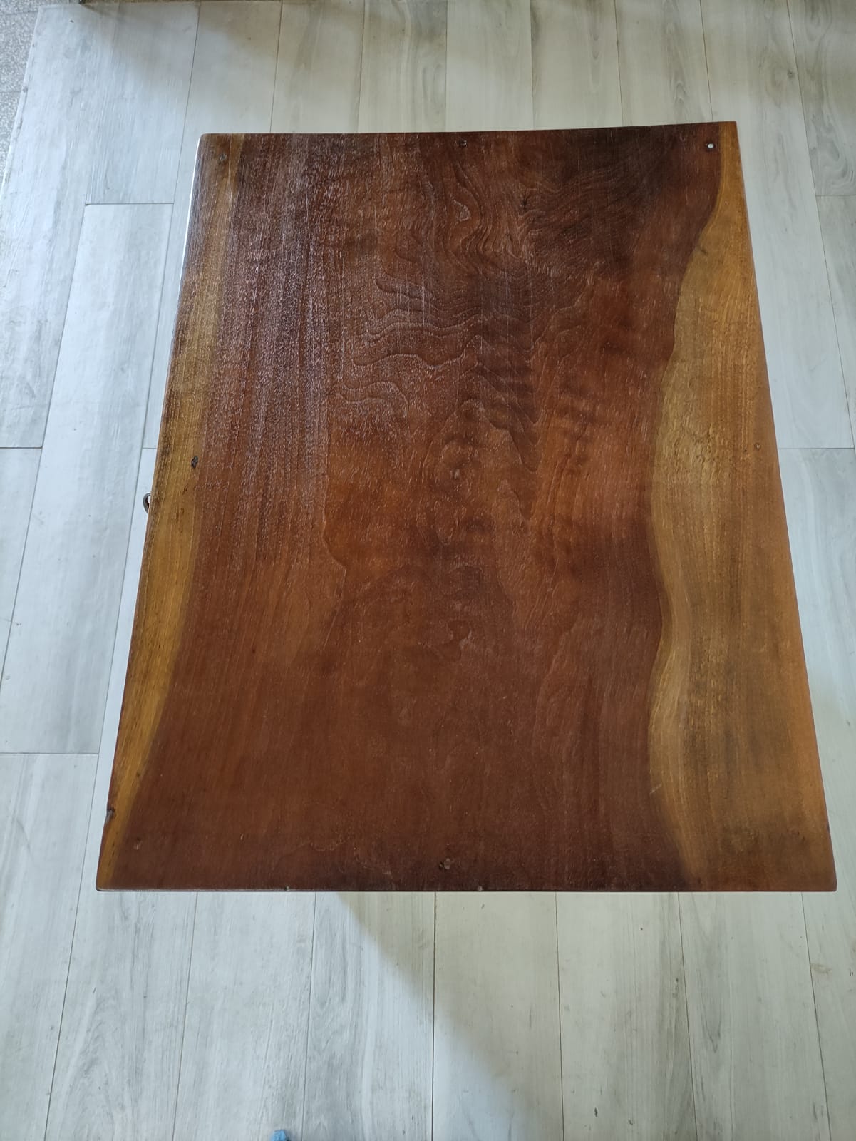 Comoncino Carlo X - immagine 11